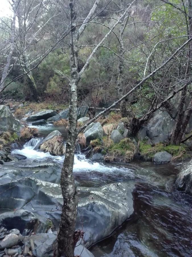 Casas Rurales Prunus Avium Cambron Εξωτερικό φωτογραφία