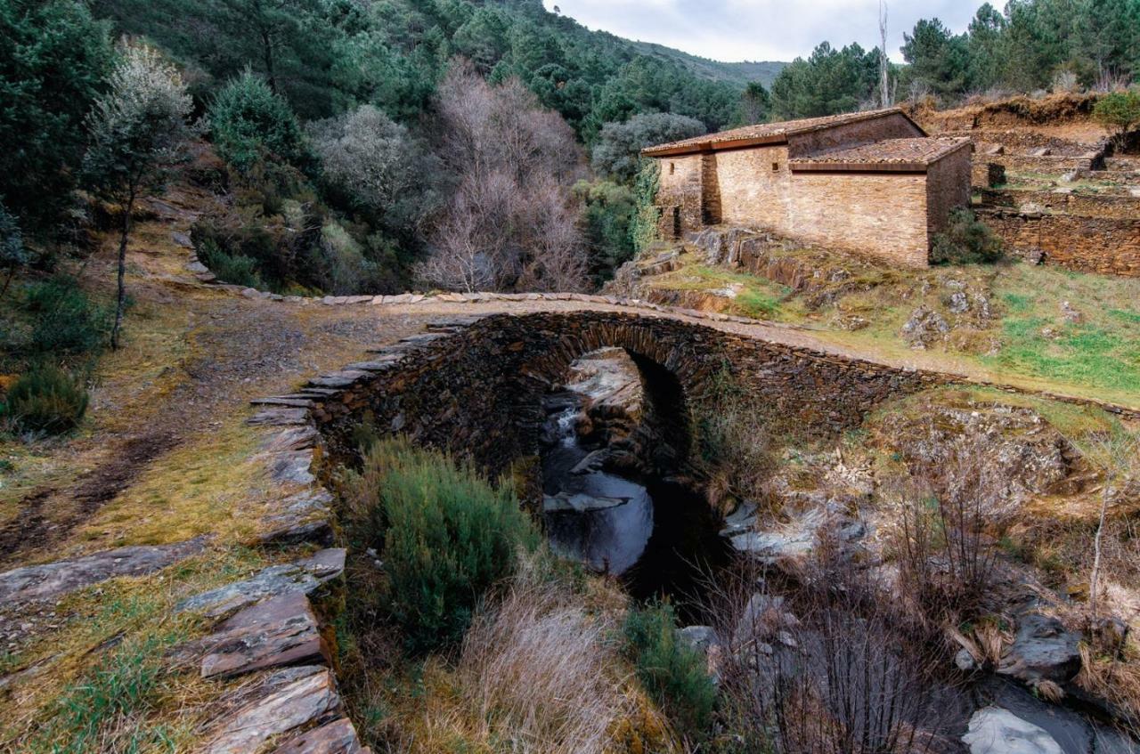 Casas Rurales Prunus Avium Cambron Εξωτερικό φωτογραφία
